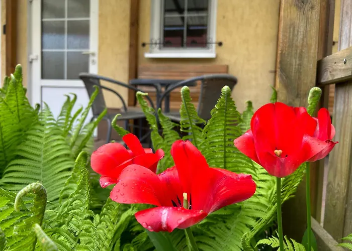 Lägenhet Gemuetliche Landlust In See-naehe Tauche