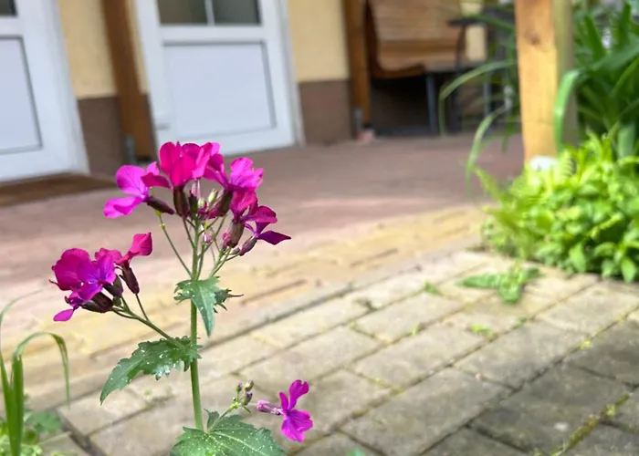 Lägenhet Gemuetliche Landlust In See-naehe Tauche